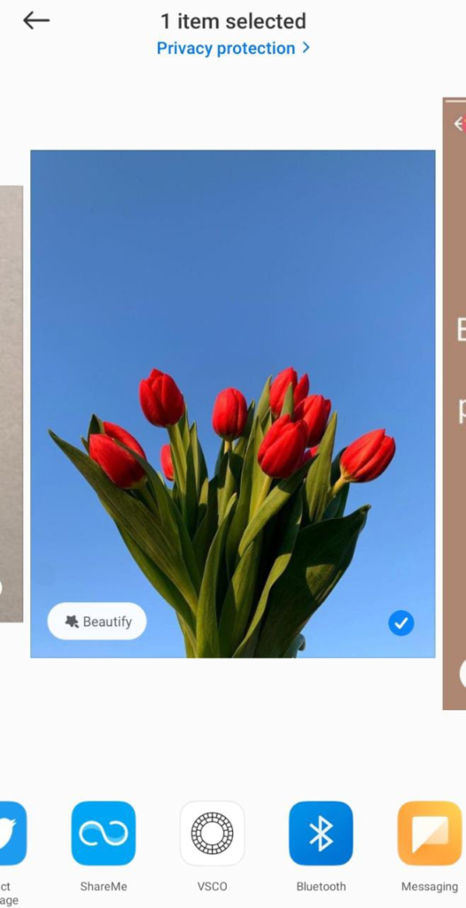 edit foto lebaran dengan VSCO