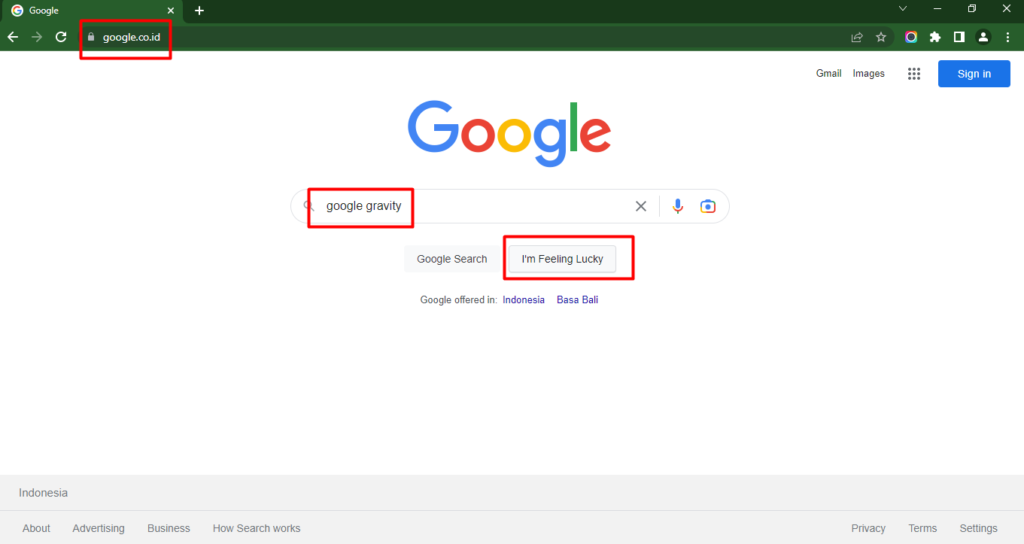 halaman google.co.id - apa itu google gravity
