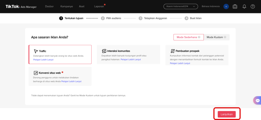 TikTok ads manager