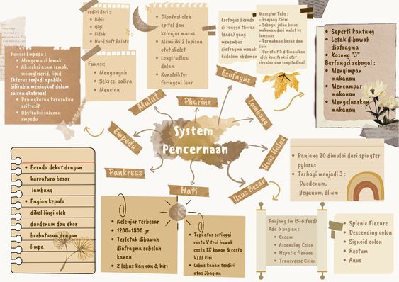 Contoh - Sistem Pencernaan