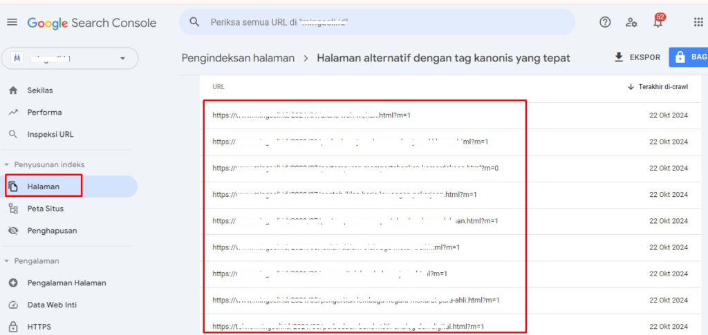 cara cek duplicate canonical di google search